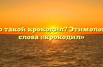 Кто такой крокодил? Этимология слова «крокодил»