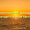 Морфологический разбор слова «драматург», какая часть речи