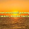 Морфологический разбор слова «жужжал», какая часть речи