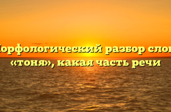 Морфологический разбор слова «тоня», какая часть речи
