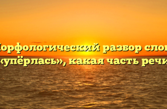 Морфологический разбор слова «упёрлась», какая часть речи