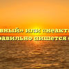 «Не активный» или «неактивный» — как правильно пишется слово?