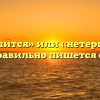 «Не терпится» или «нетерпится» — как правильно пишется слово?