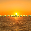 Пословицы о семье и их значение
