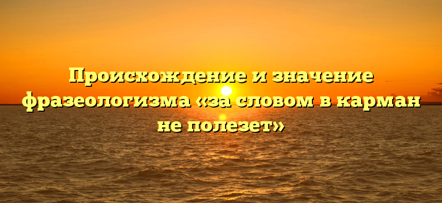 Происхождение и значение фразеологизма «за словом в карман не полезет»