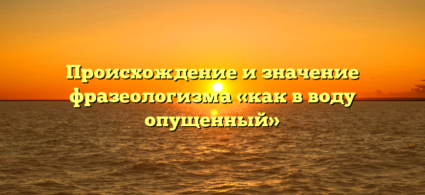 Происхождение и значение фразеологизма «как в воду опущенный»