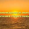 Происхождение и значение фразеологизма «через пень колоду»
