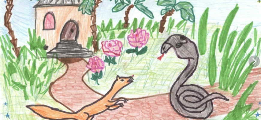 «Рикки Тикки Тави»