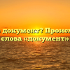 Что такое документ? Происхождение слова «документ»