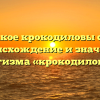 Что такое крокодиловы слёзы? Происхождение и значение фразеологизма «крокодиловы слёзы»
