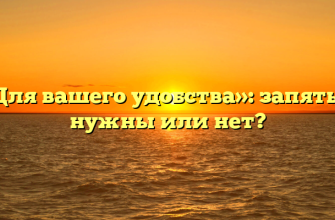 «Для вашего удобства»: запятые нужны или нет?