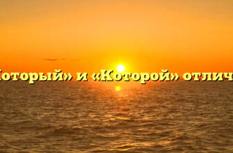«Который» и «Которой» отличие