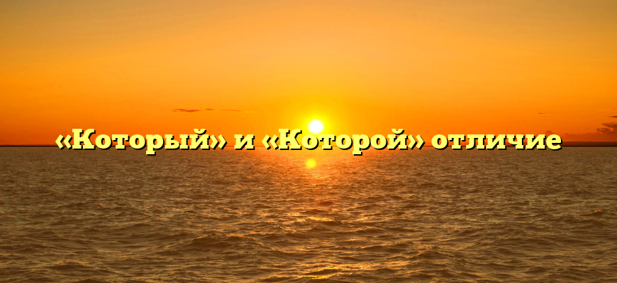 «Который» и «Которой» отличие