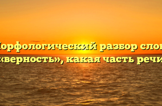 Морфологический разбор слова «верность», какая часть речи