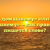 «По-домашнему» или «по домашнему» — как правильно пишется слово?