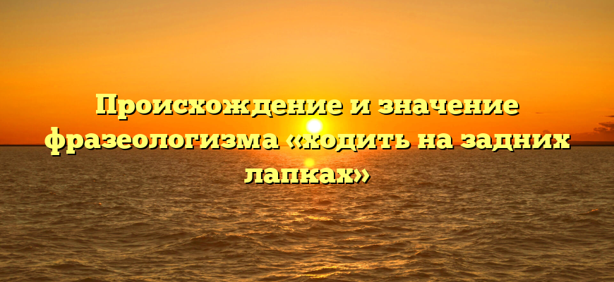 Происхождение и значение фразеологизма «ходить на задних лапках»