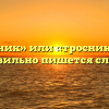«Тростник» или «тросник» — как правильно пишется слово?
